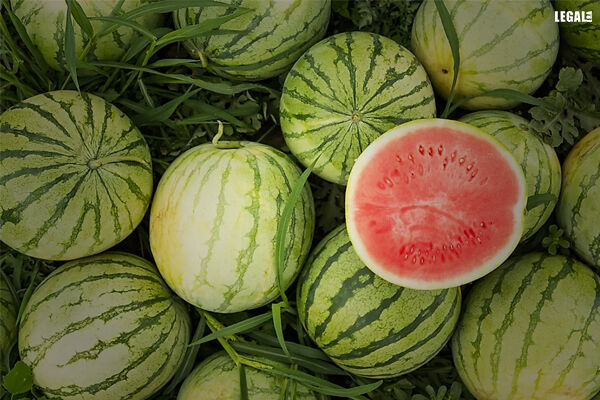 DGFT allows importation of Water Mellon seeds till 30 September 2022